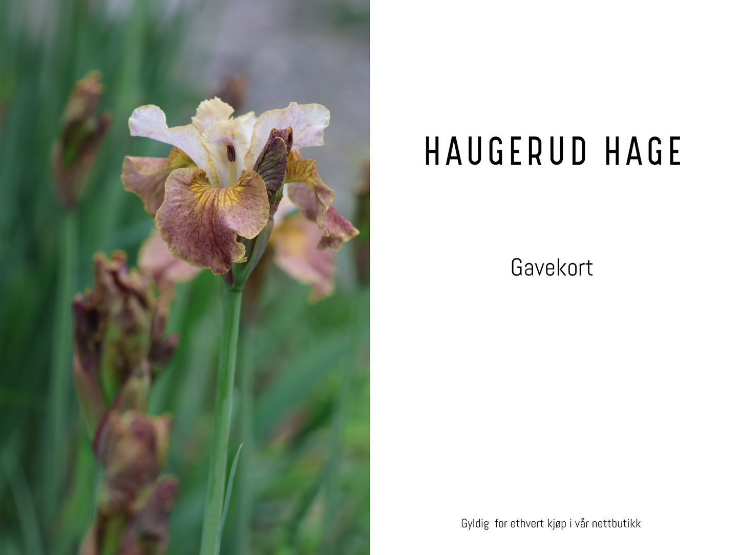 Gavekort Haugerud Hage